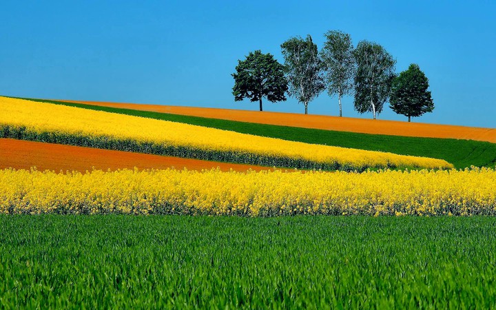 Stunning Greenery