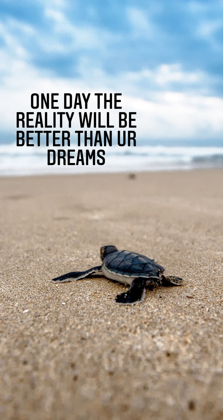 Quotes