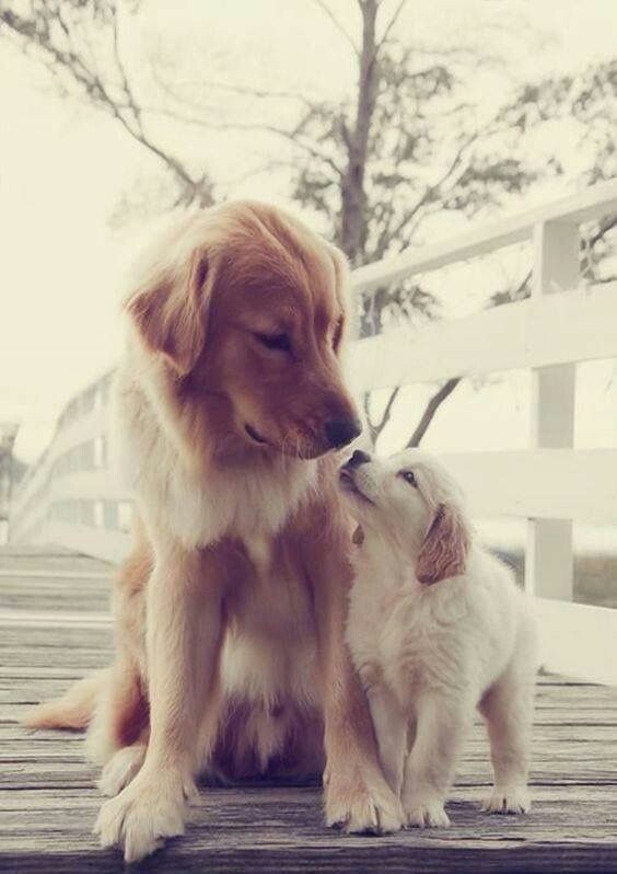 True love ❤