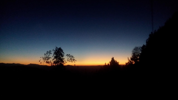 Evening