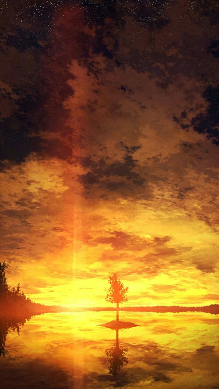 beautiful evening