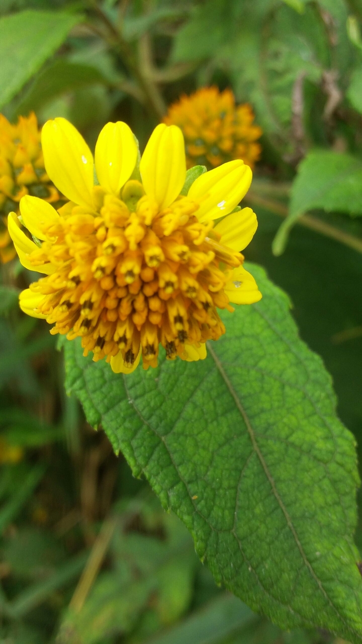 #nature