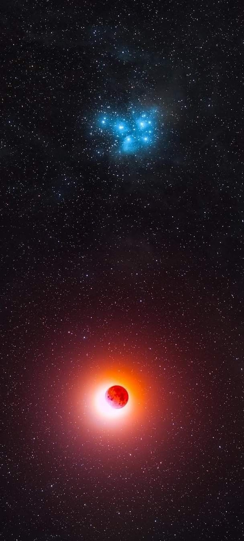 star, red achtergronden