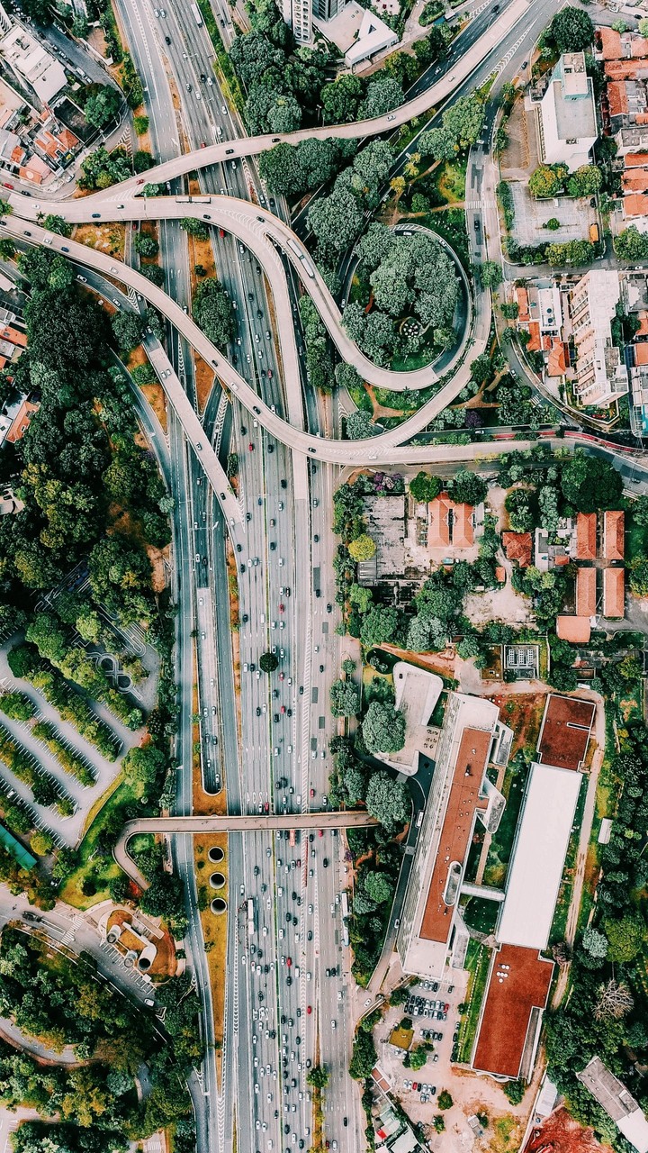 Birdseye