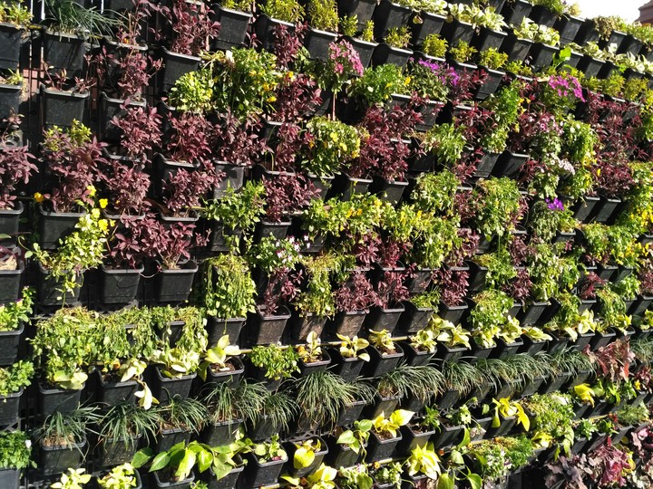 Plantation