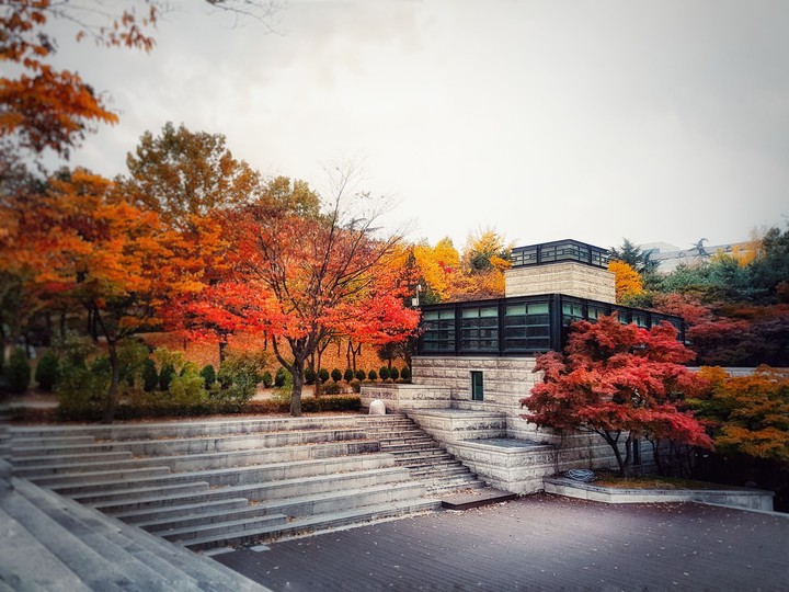 Fall