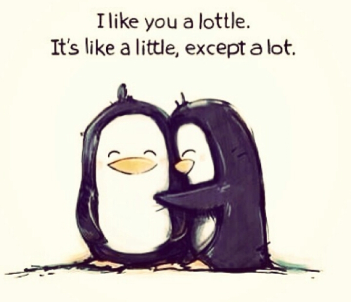 a lottle, it's like a little except a lot
