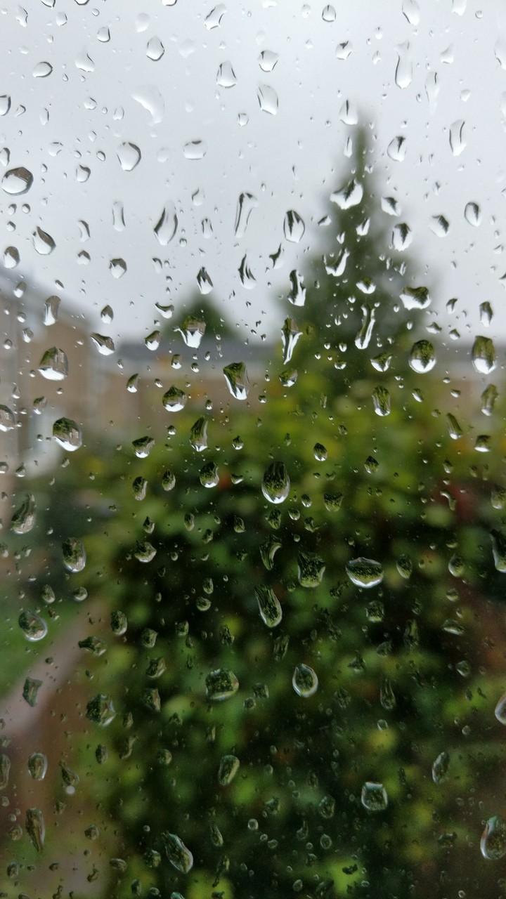 rain drops