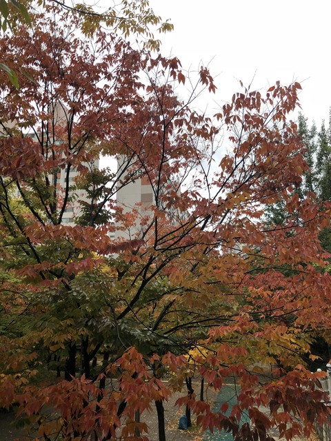 dark fall
