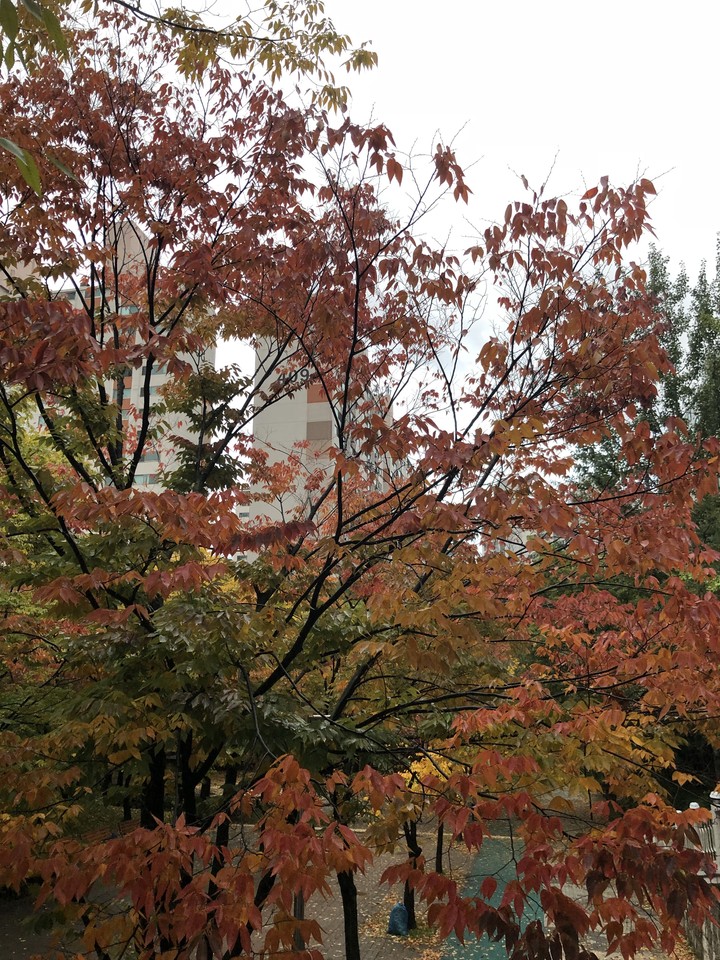 dark fall