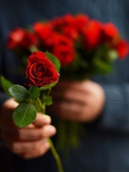 rose