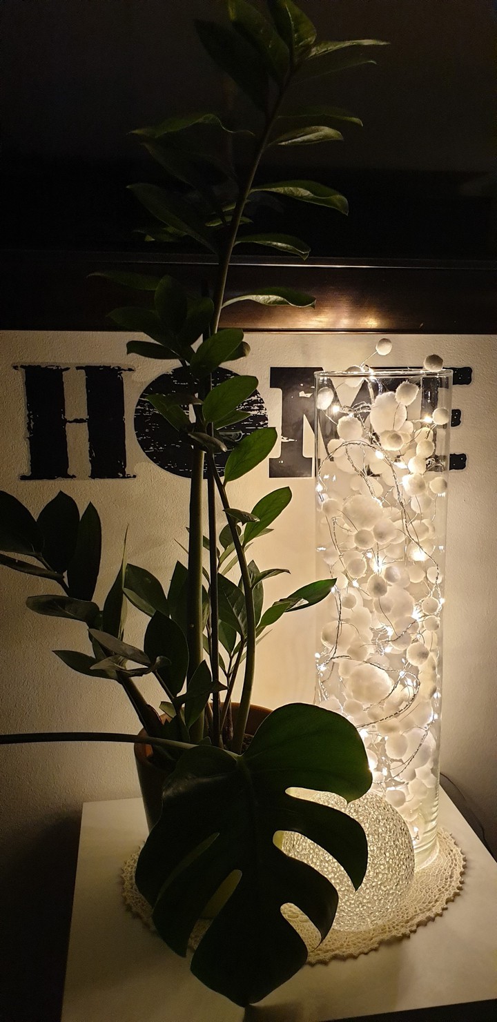 Home