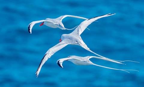 in the Galapagos Islands ...