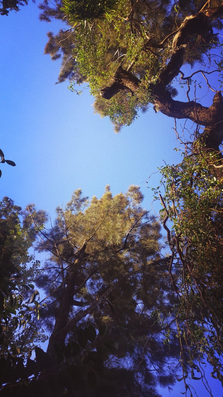 Sky Nature