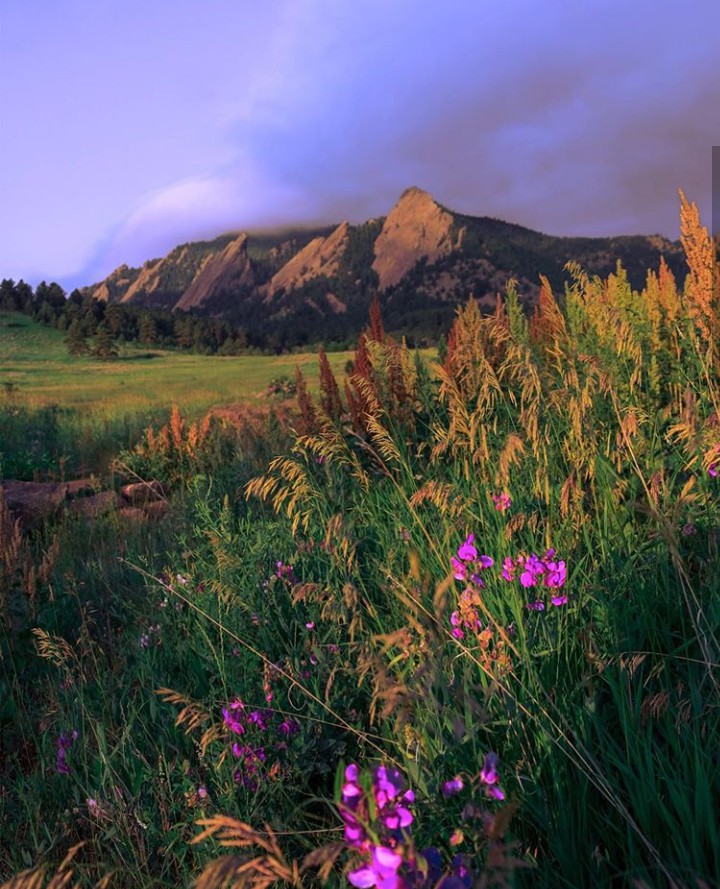 Mountains