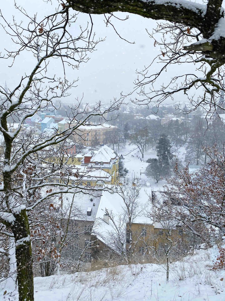 winter