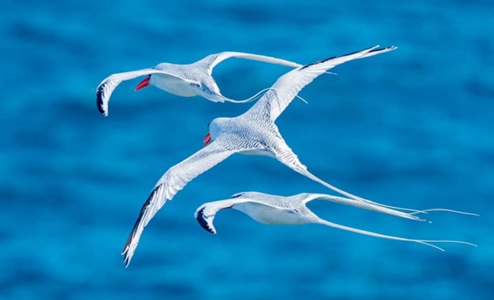 in the Galapagos Islands ...