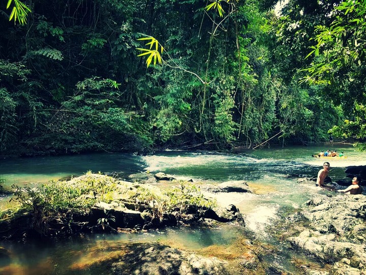 Nature