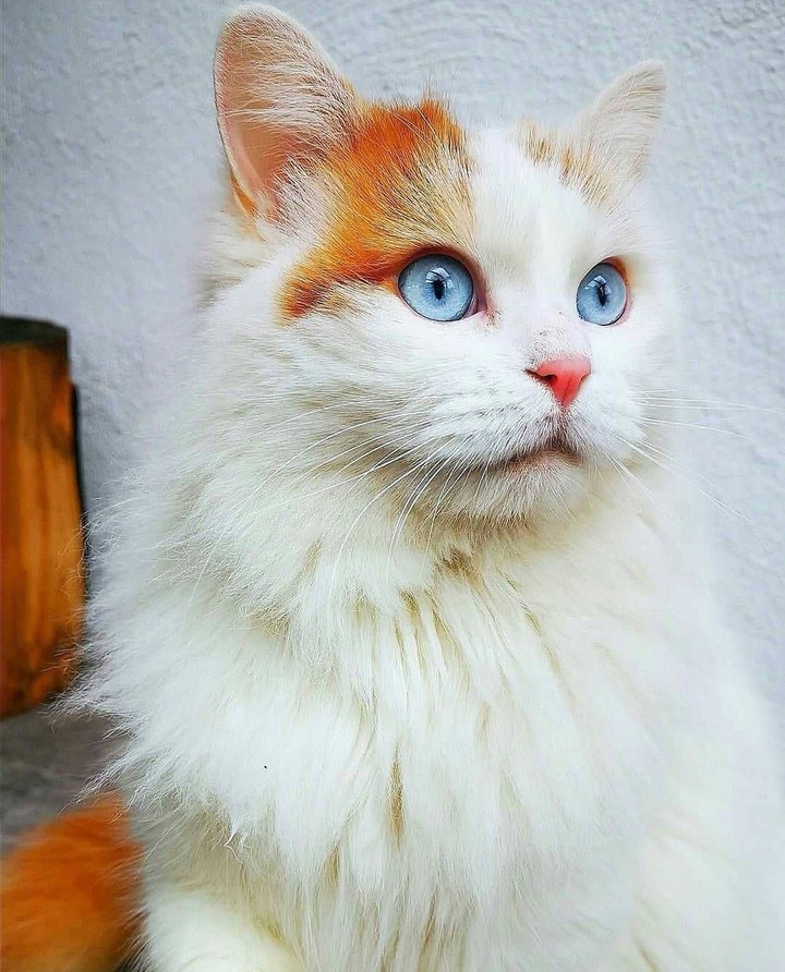 ☺️☺️☺️