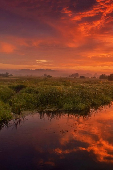 Nature