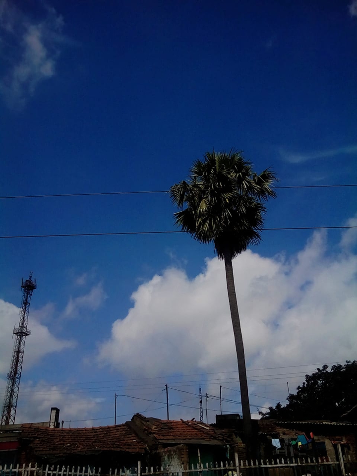 sky