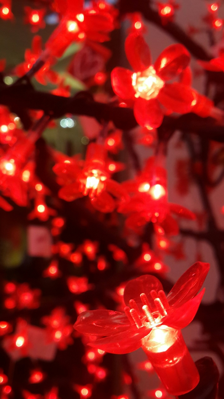 Light Red