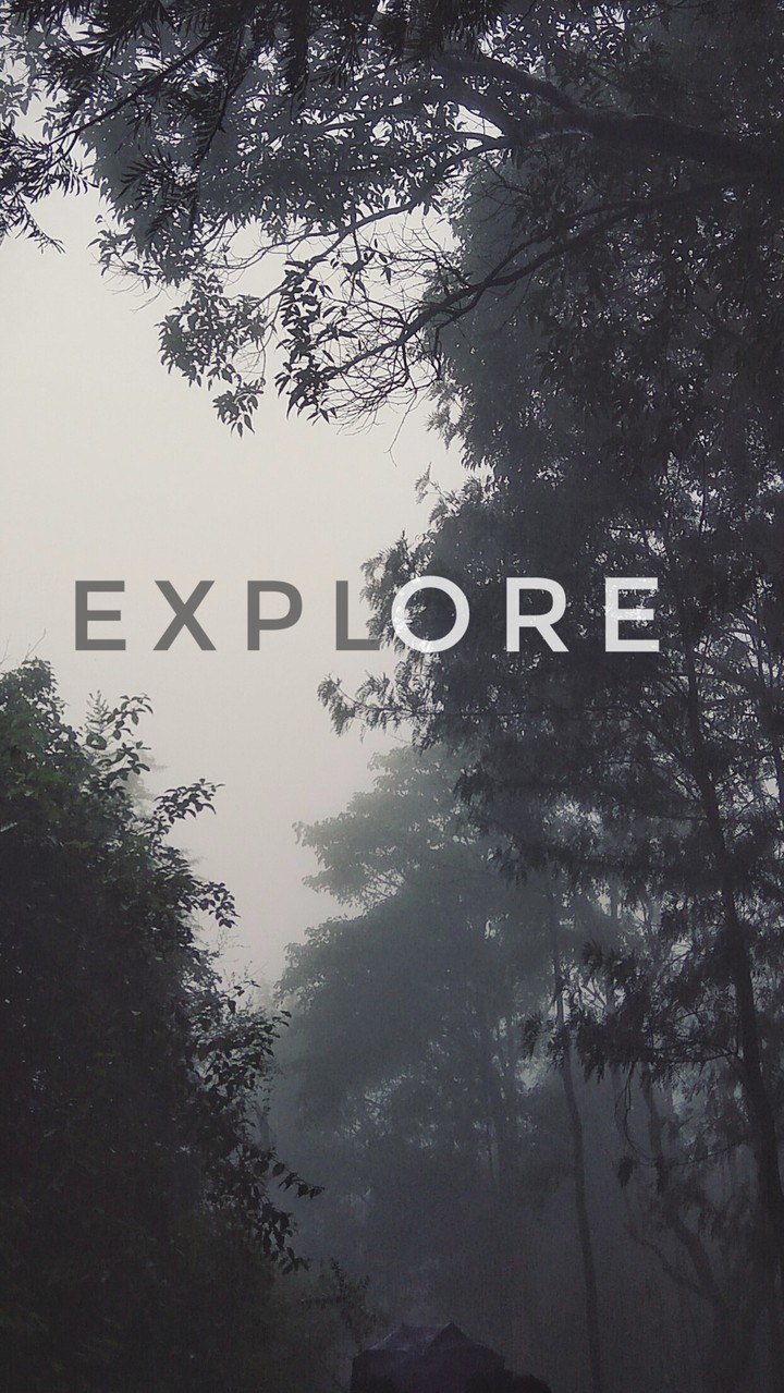 Explore...