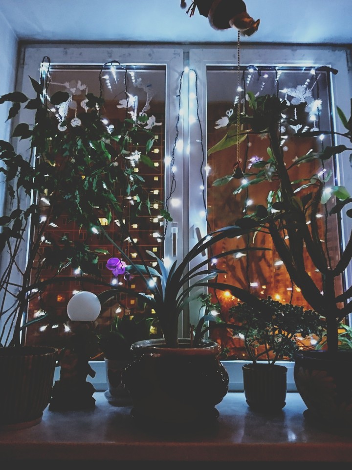 electric lights