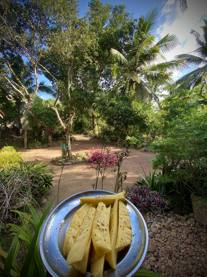 pineapple ( Srilankan )