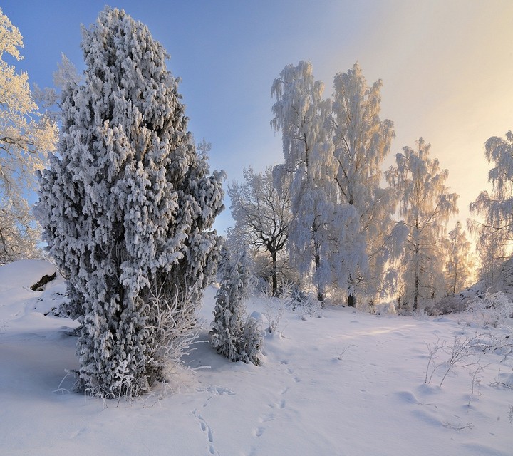 winter