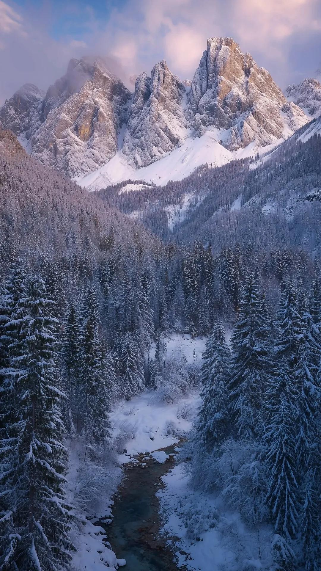 tapety highland, snow