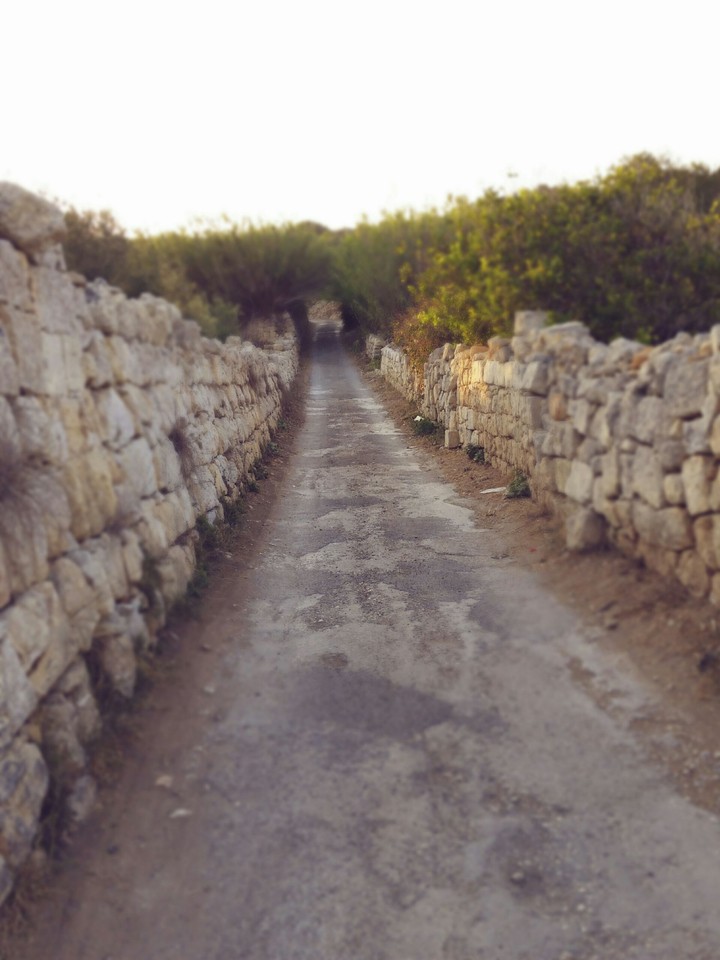 Selmun Malta