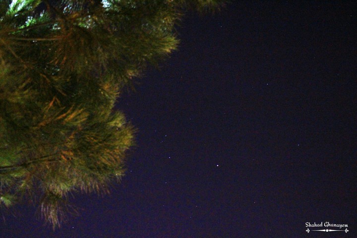 stars