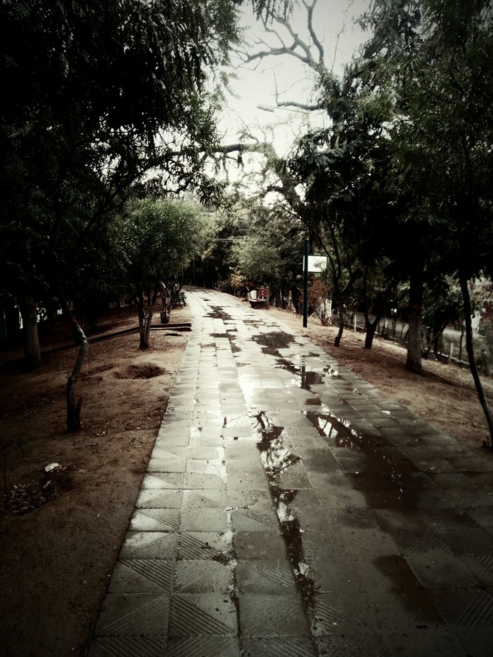 The rainy trail