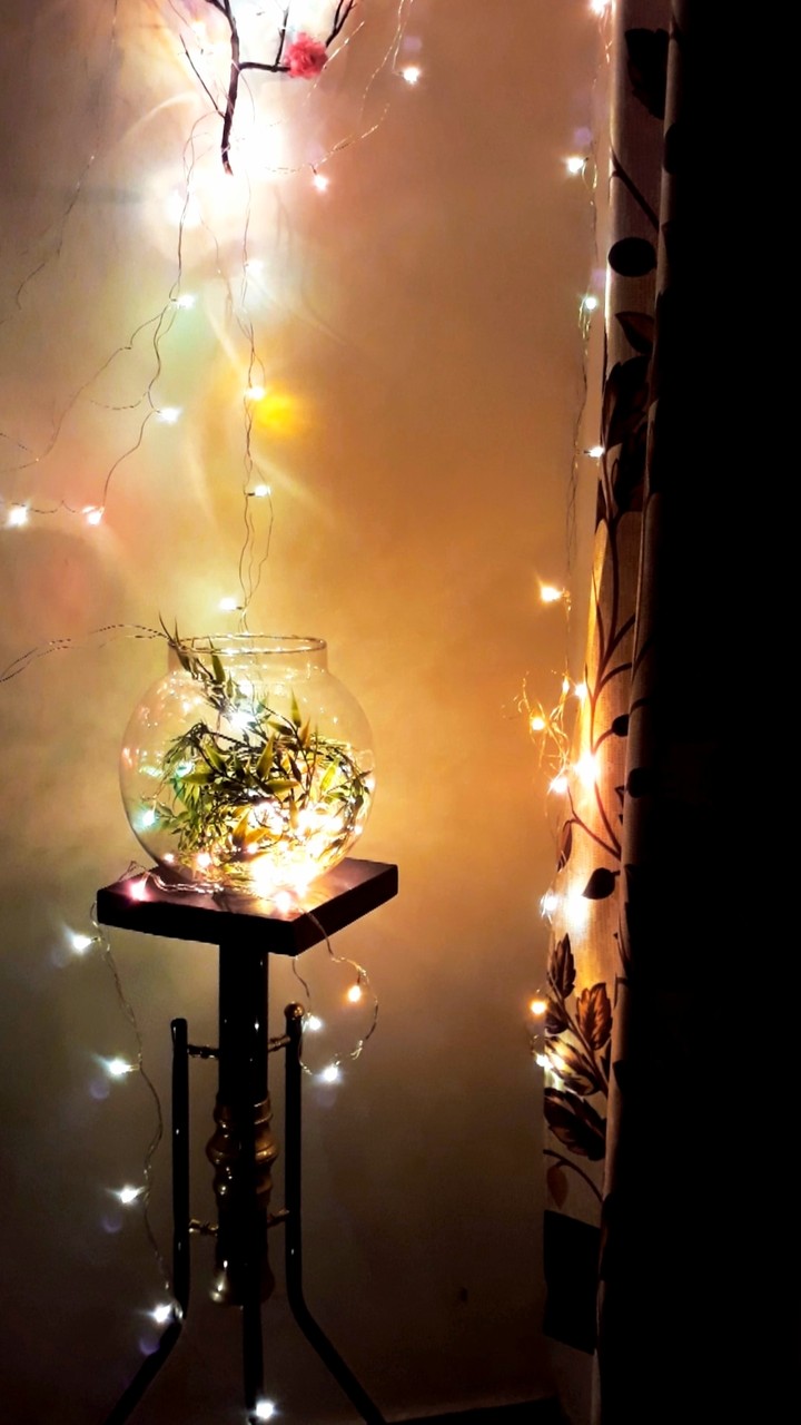 #artluv #fairylights #homedecor #random