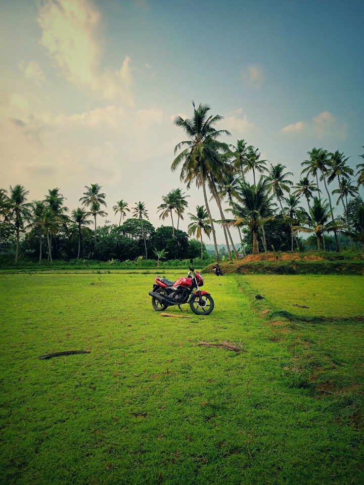 bike
