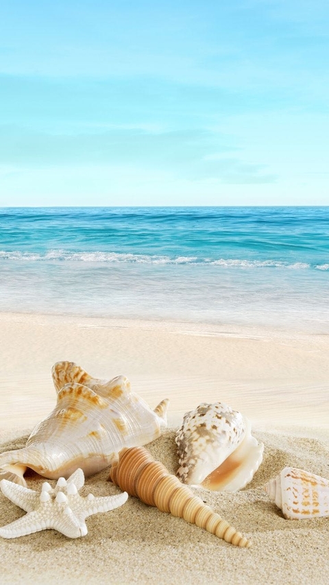 sea
