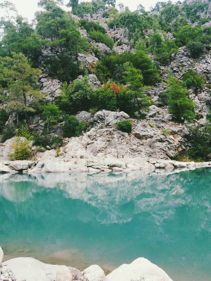 nature