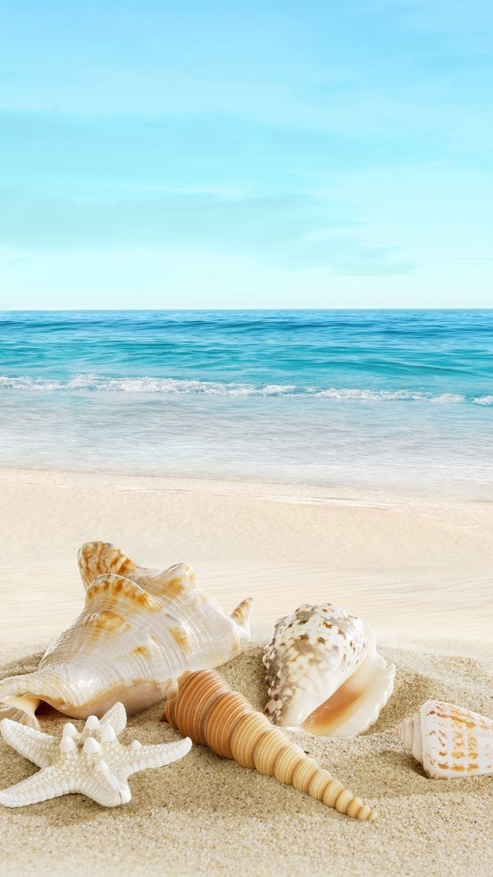 sea