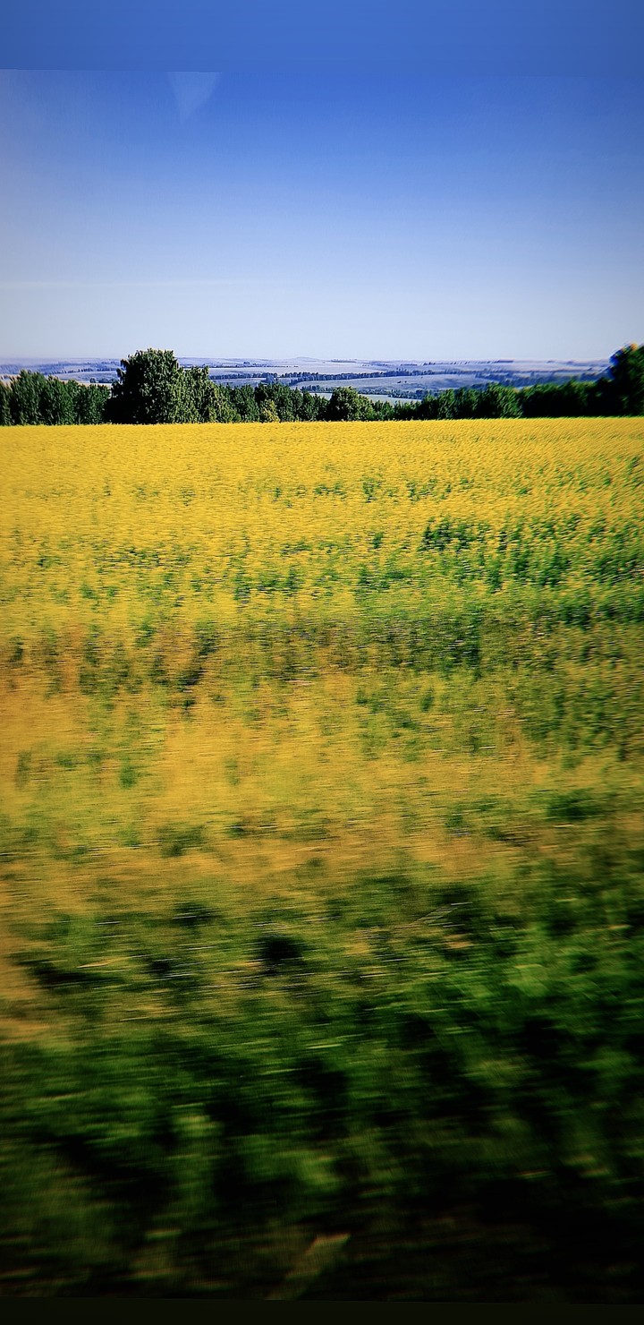 nature
