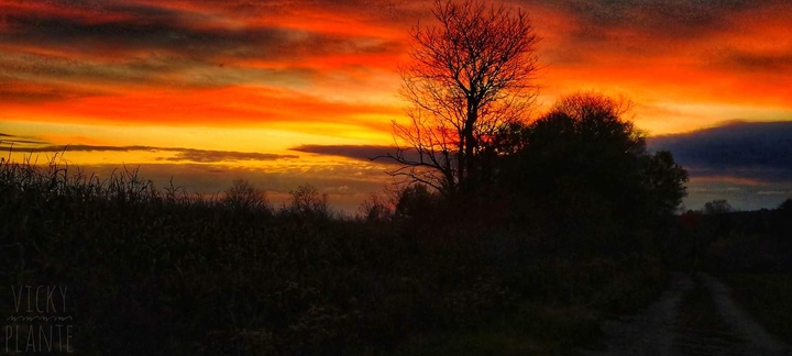 A Heavenly Sunset ❤