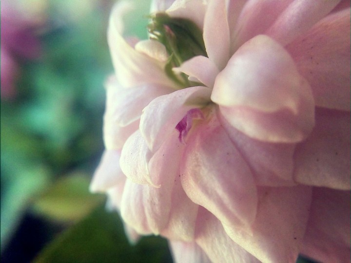 Macro