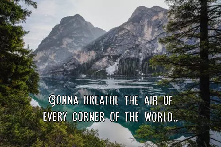 Dream Quotes