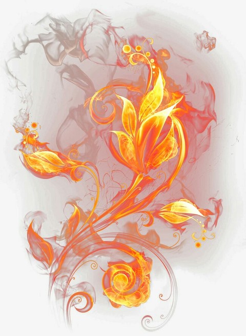 Fire flowers png
