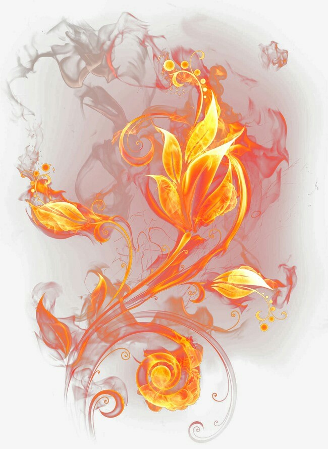 Fire flowers png