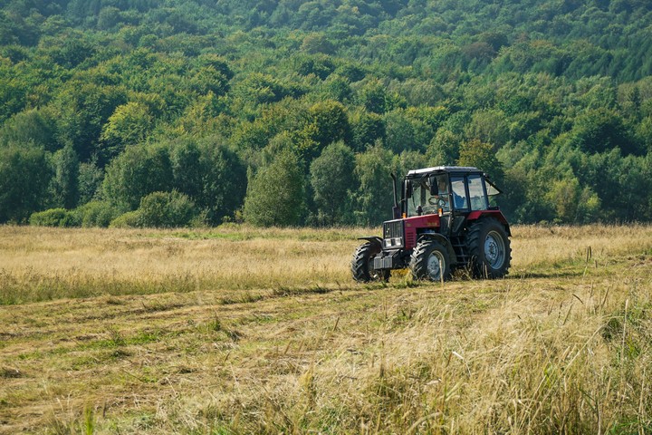 Mtz