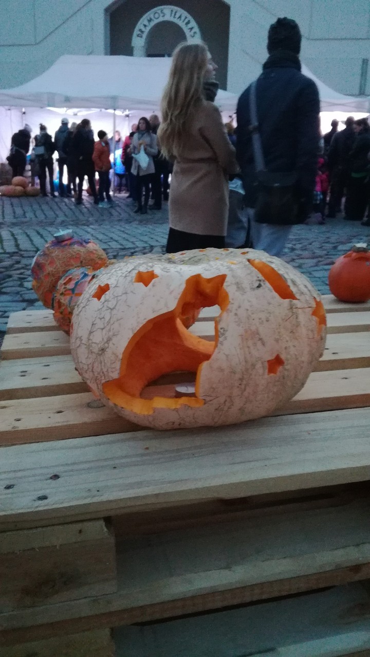 Кот