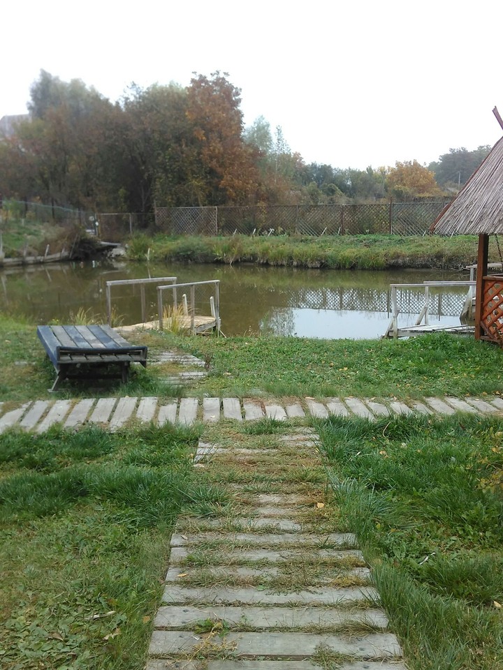 У бані