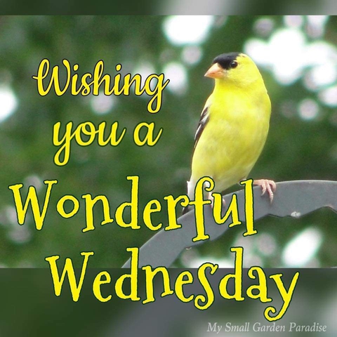 Have a Fantastic one !