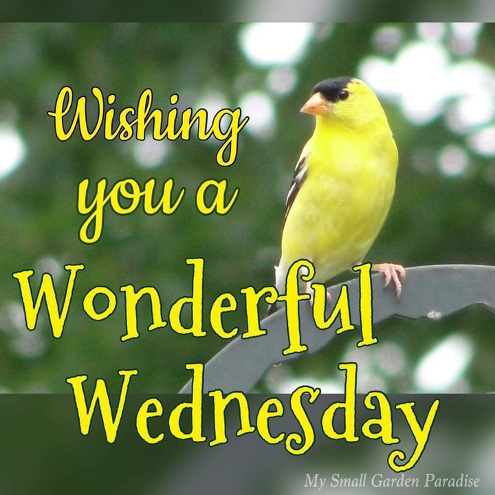 Have a Fantastic one !